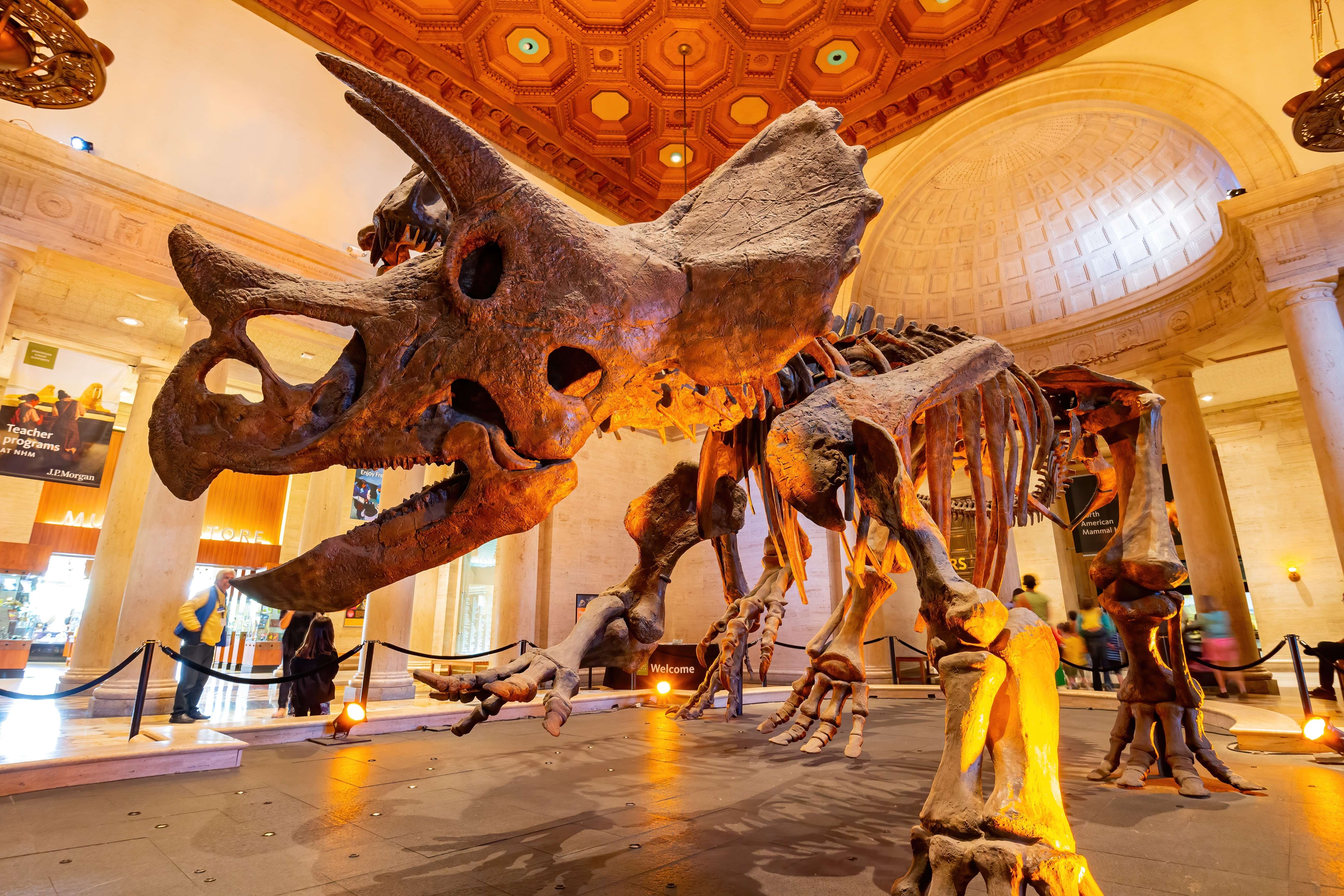 Explore the Natural History Museum of Los Angeles 