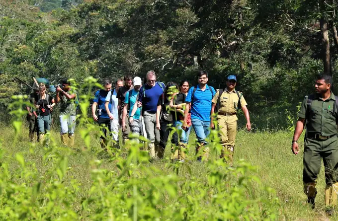 Explore Periyar’s wilderness with a guided trek