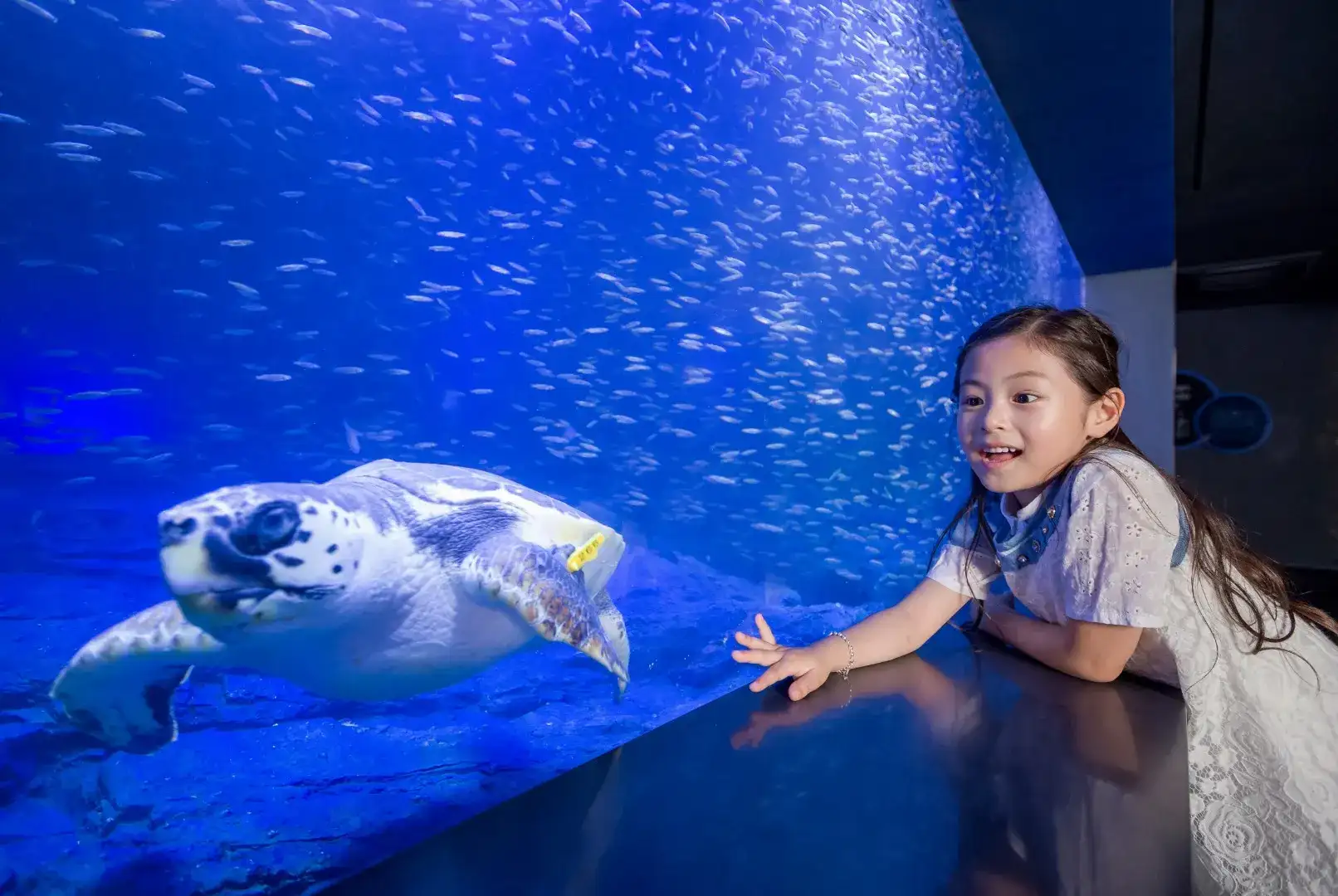 Hanwha Aqua Planet 63 Tickets in Seoul Image