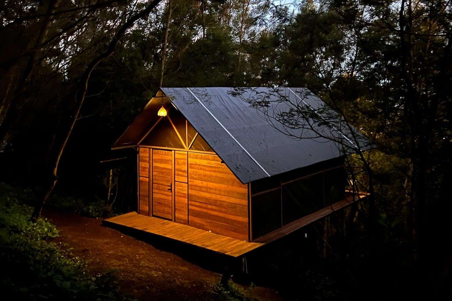 Jungle Camping in Ooty Image