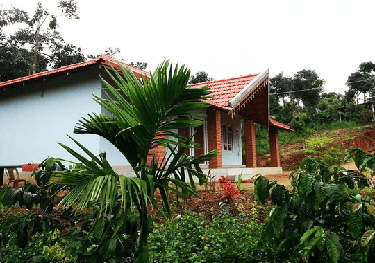 A Serene Homestay Cottage Amid Coffee Plantation In Sakleshpur Image