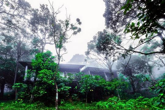 Wayanad Wild Resort Image