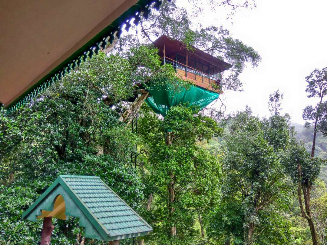 Tree House Stay in Wayanad Image