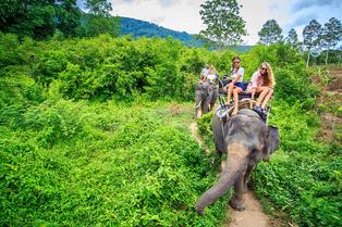 Krabi Elephant Sanctuary