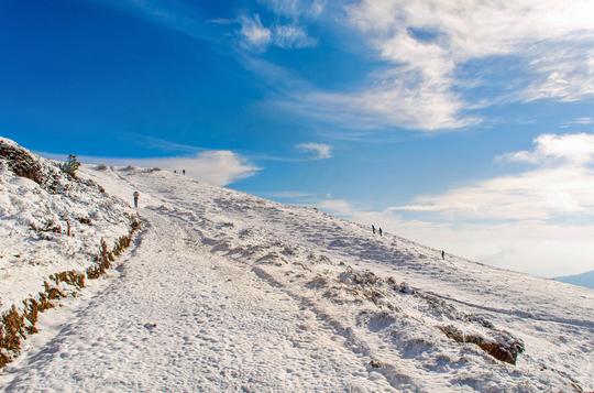 Singalila National Park From Darjeeling Image