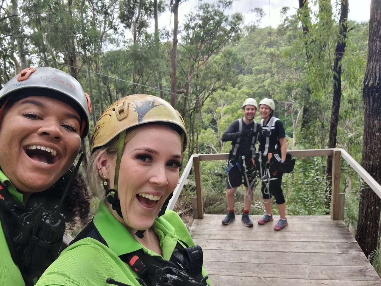 Mt Tamborine Tree Top Challenge Image