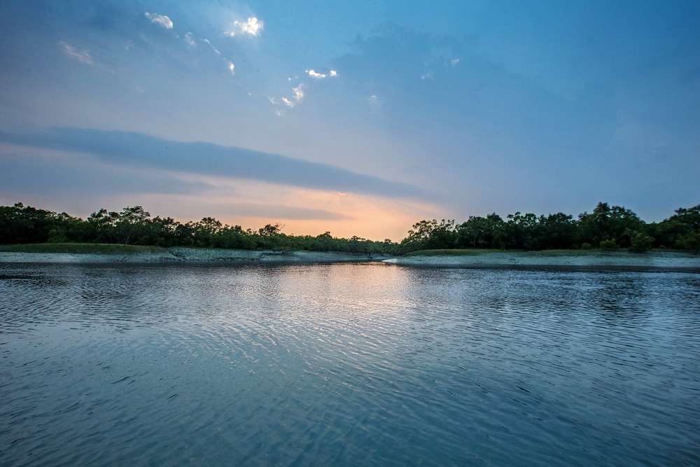 Sundarban tour from kolkata Image