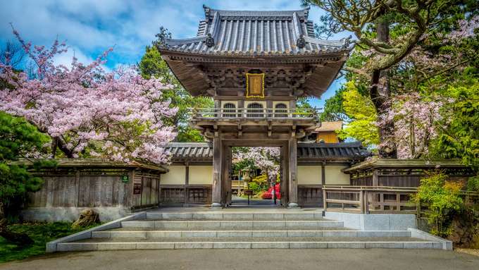 Enjoy visiting the ancient Japanese Tea Garden in San Francisco