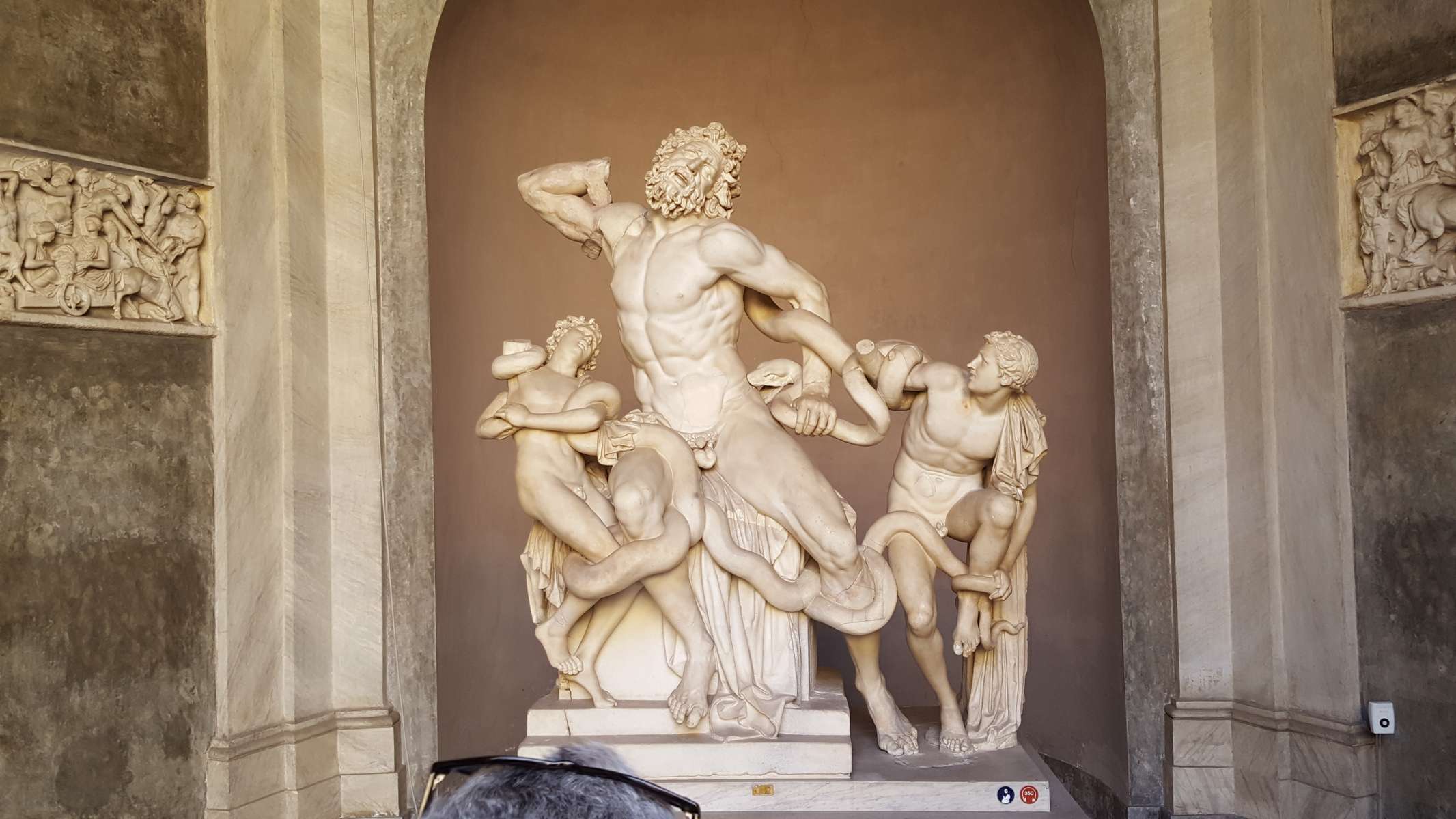 Vatican Museum & Sistine Chapel Guided Tour Image