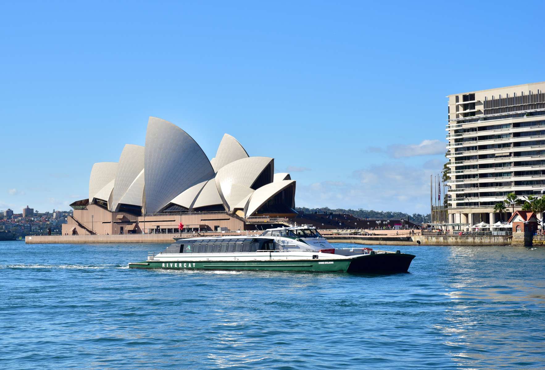 Sydney Harbour Cruise Image