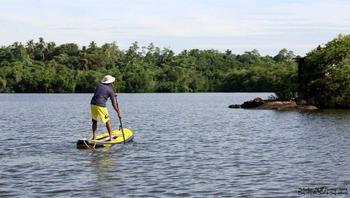 Xk76q6hpxzq74xloho1hxsanivaz standup paddle   madu ganga lake  srilanka   kumaran 20190715153528
