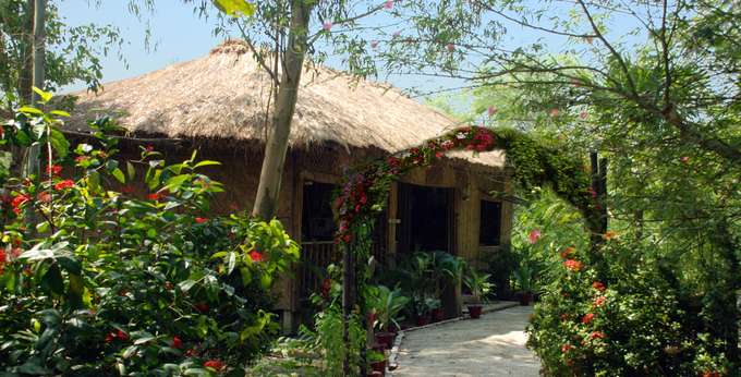 Sundarban Tiger Camp