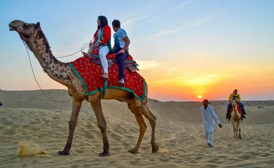 Camel Safari With Dinner Image
