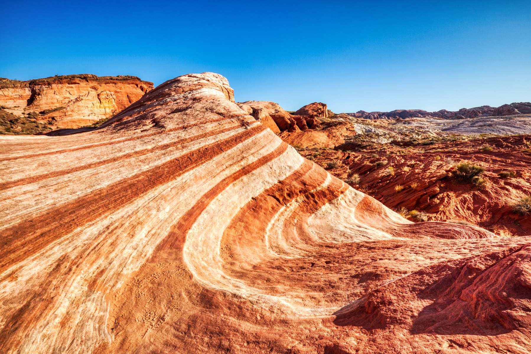 Valley of Fire and California Mojave Desert Tour Image