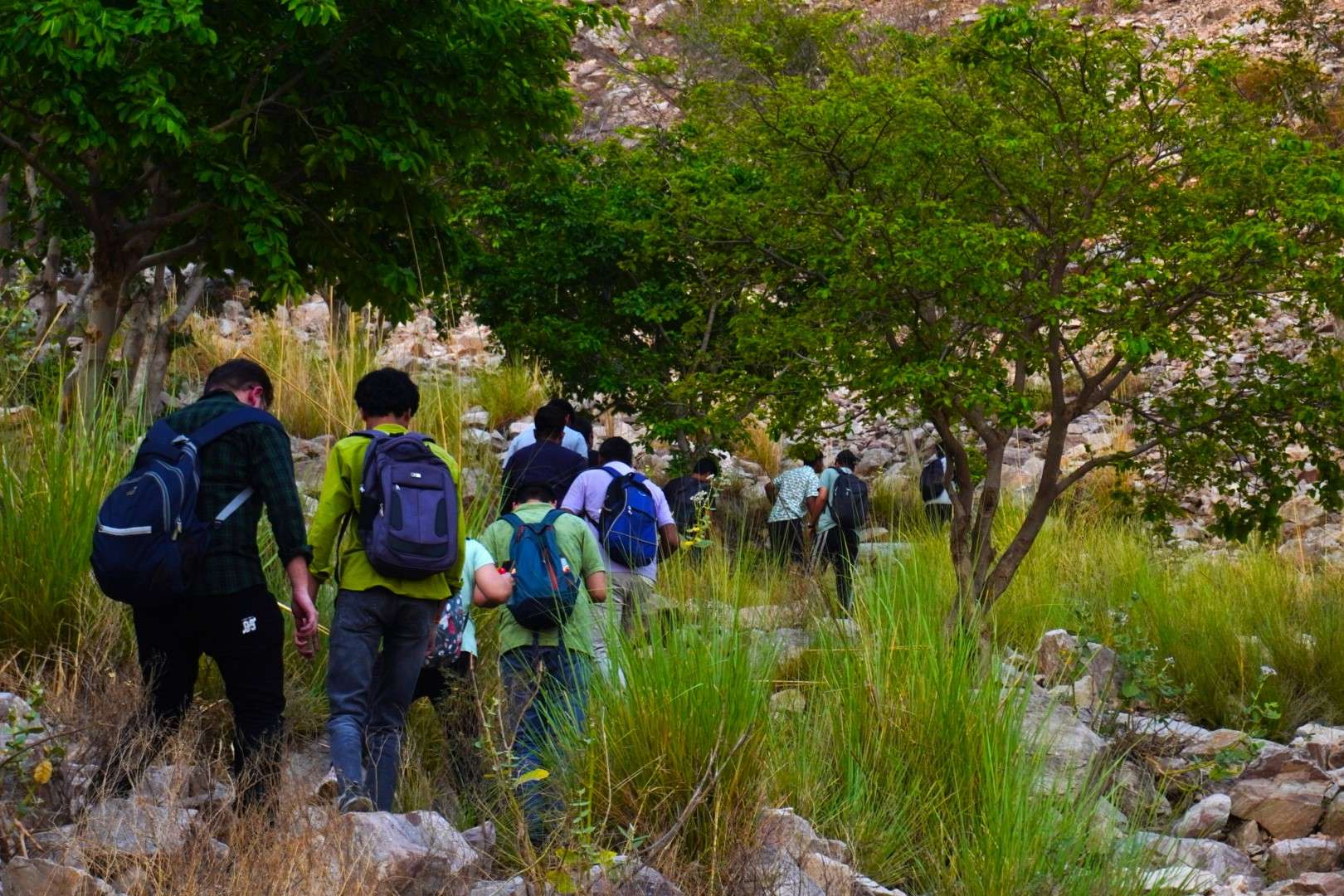 Explore a 5 km route through Yercaud’s Shola forest to the peak