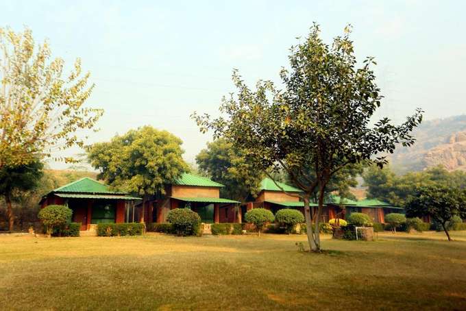 Camp Wild Dhauj | Luxury Staycation Deal