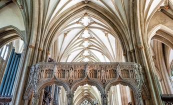 Xnhm7l8mgluybg2zucl594y5mgvf 36756984925 260b1d07b7 o