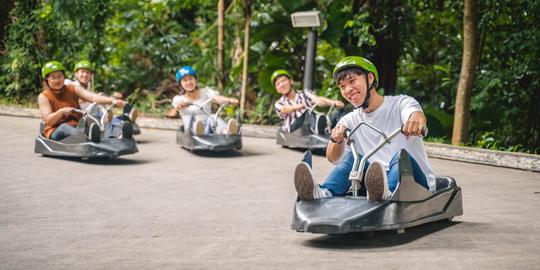 Skyline Luge Sentosa Tickets Image