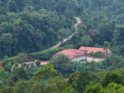 Aerial view of the Homestay