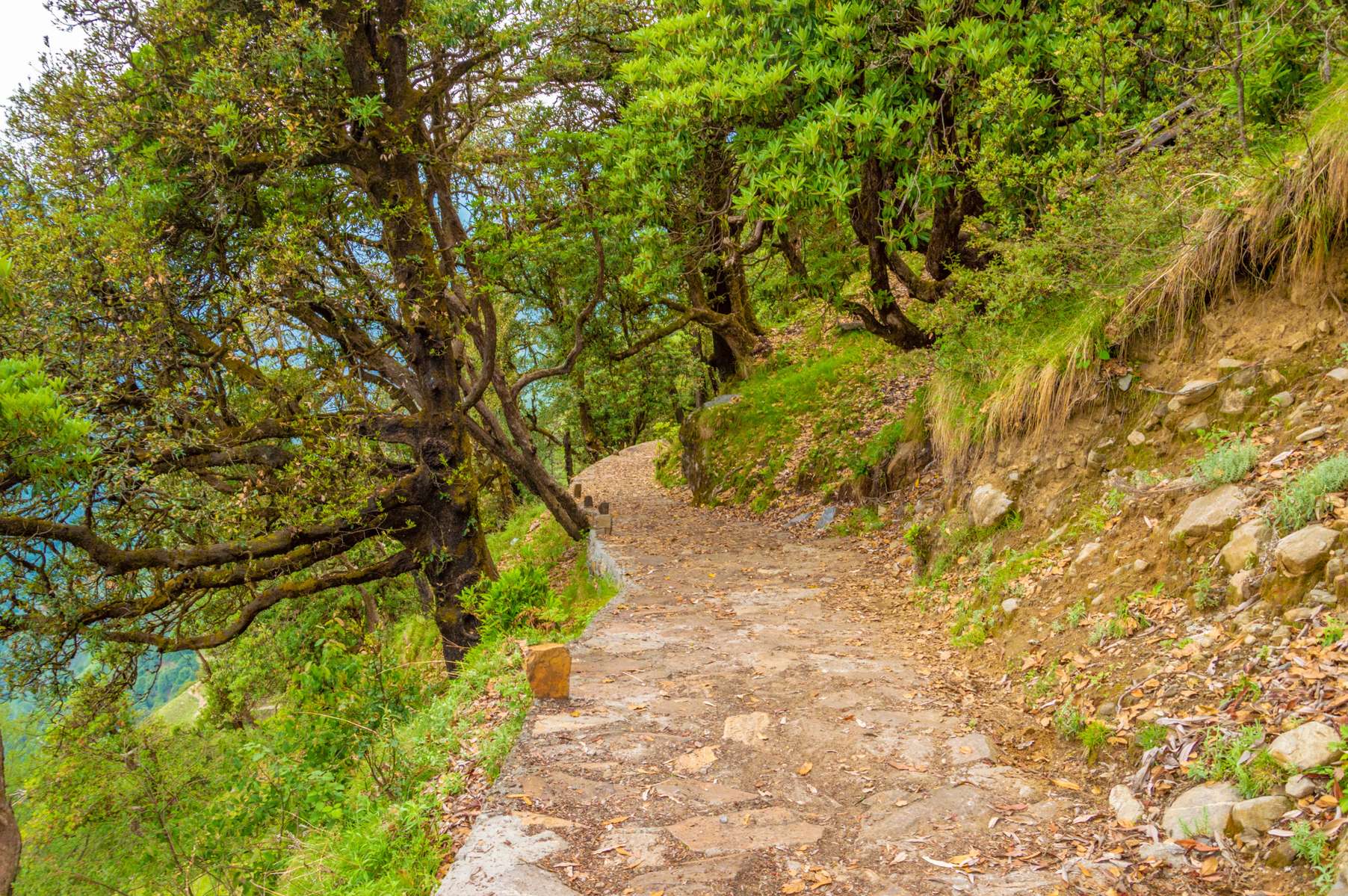 Madmaheshwar Trek Image