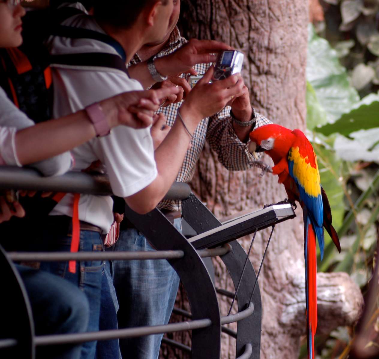 Faunia Tickets Image