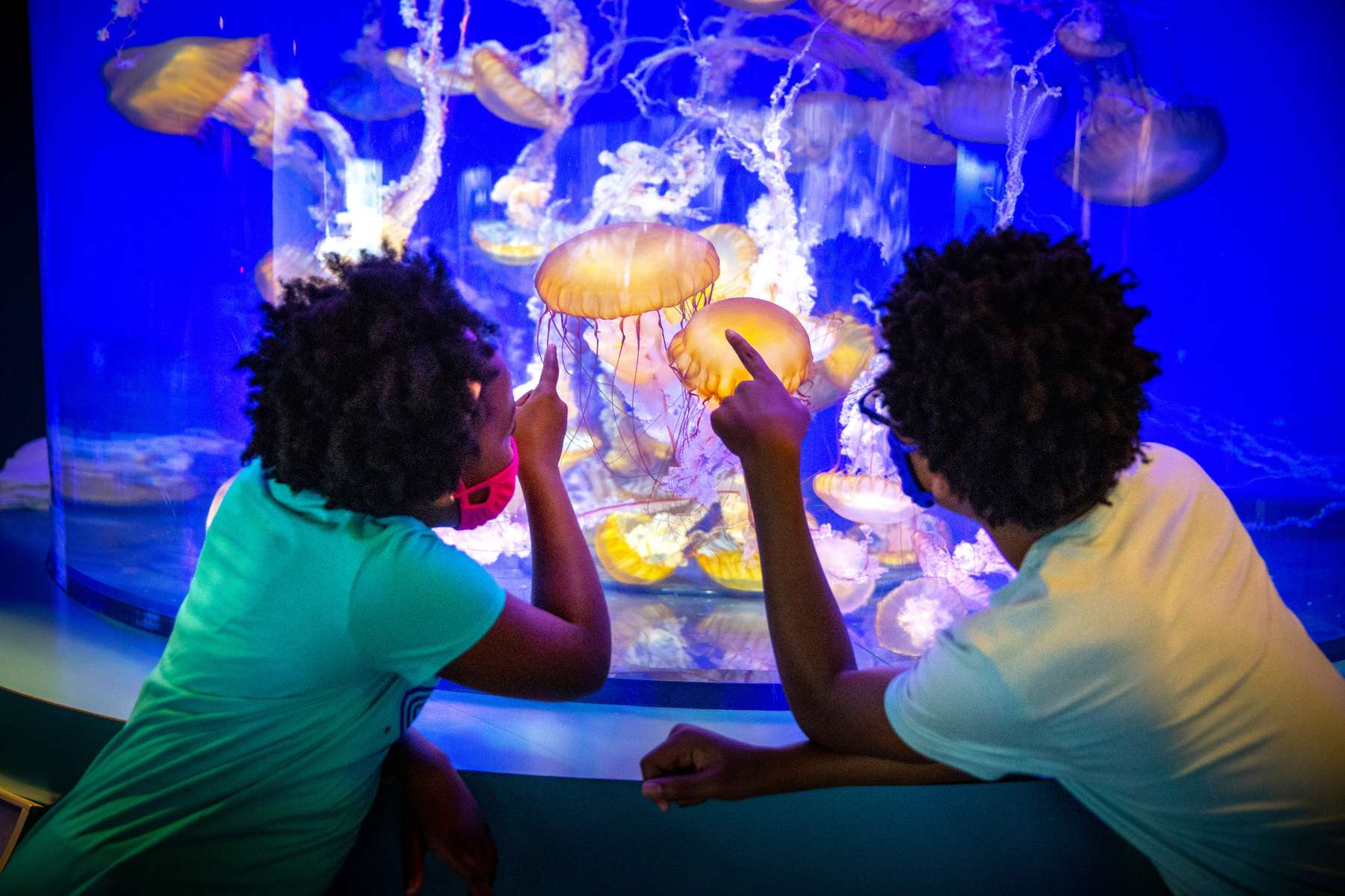 Aquarium of the Pacific Tickets Image