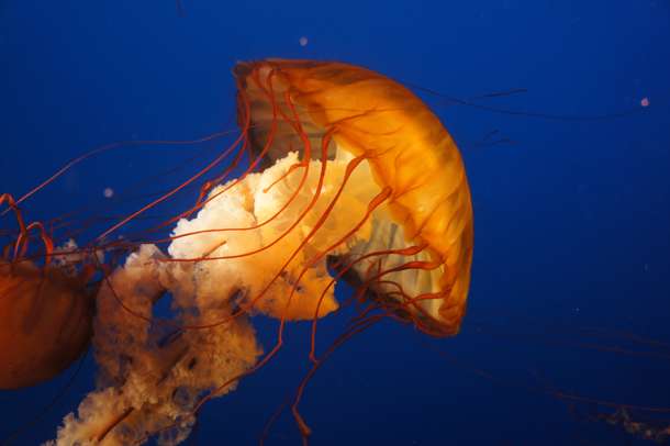 Xqeocy6mw4kj5e13xnx9a3pbiwam shutterstock 538182139