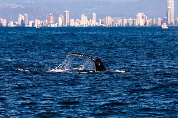 Xsetlncggzqn2uercfu0l73ac6vz downpic.cc 71127090