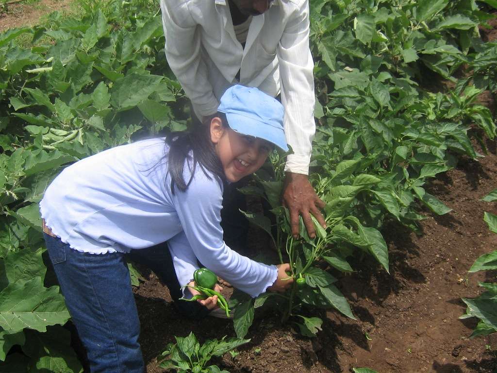 Day Out At The Hidden Oasis Image