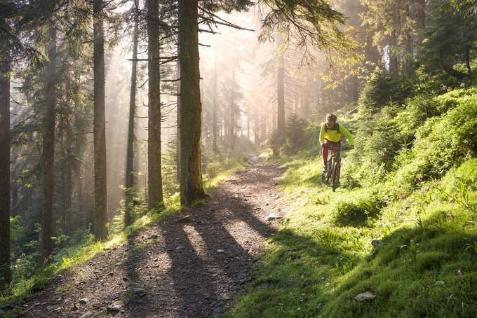 Mountain Biking In Dandeli Jungle