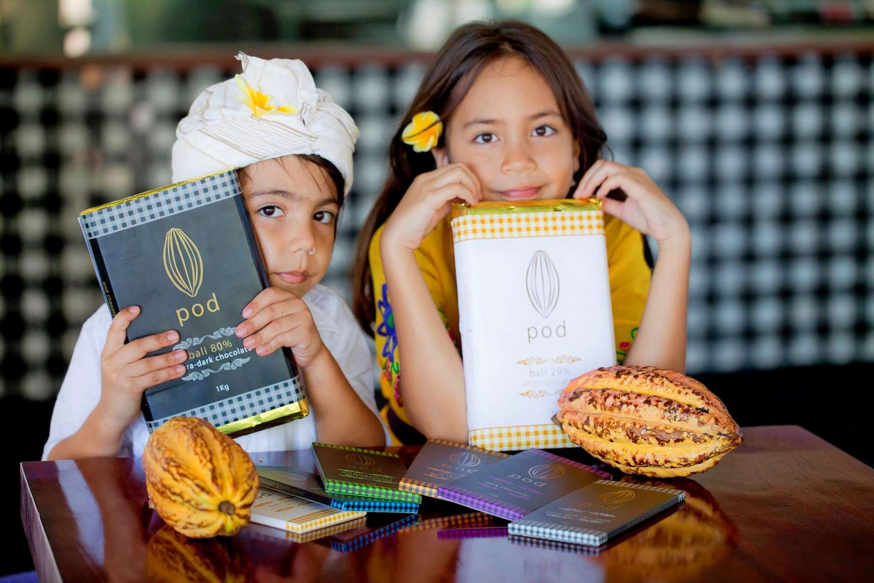 Pod Chocolate Factory Tour at Bali Elephant Camp Image