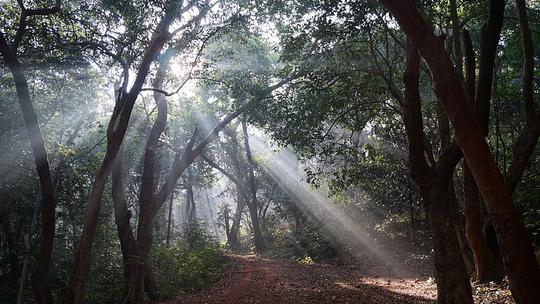 2 Night 3 Days Package From Mumbai Image