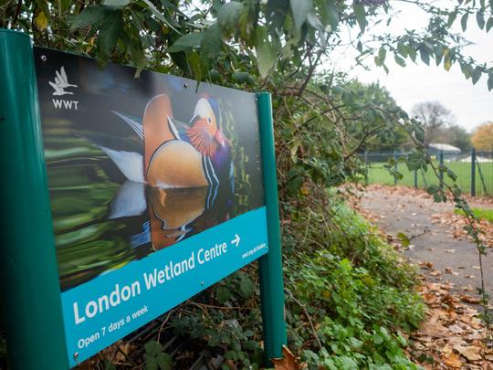WWT London Wetland Centre Tickets Image