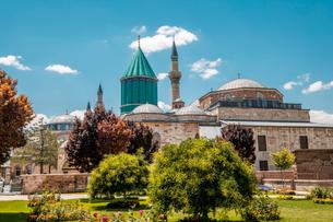 Xw9tisygopc2hlzueqibsbj9qvew shutterstock 1261509385