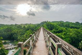 Xxoyoa3vy1ozfk14gmr4jrgi6seh 1580530017 shutterstock 1455430895