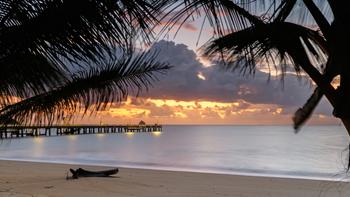 Xym248cwgxxjuoy06cduui49ygct 1606910740 shutterstock 1197679864