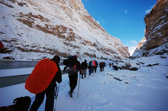 Chadar Trek Ladakh Image