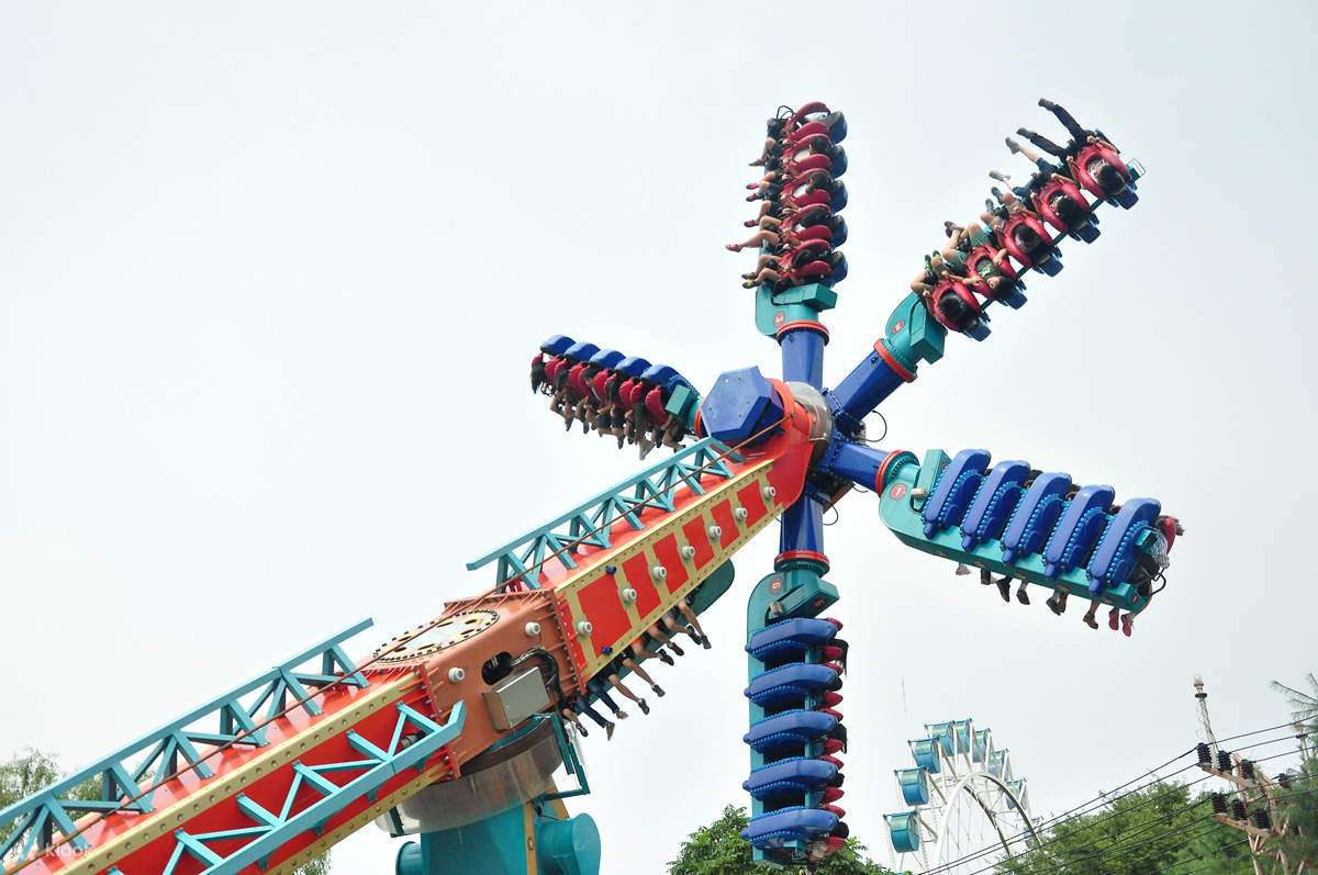 Everland Theme Park Tickets Image