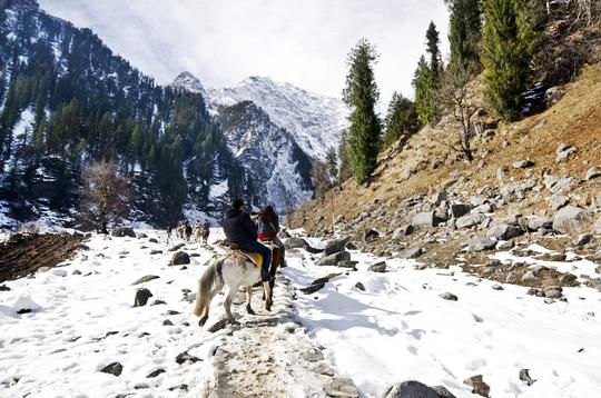 Horse Riding In Manali Image