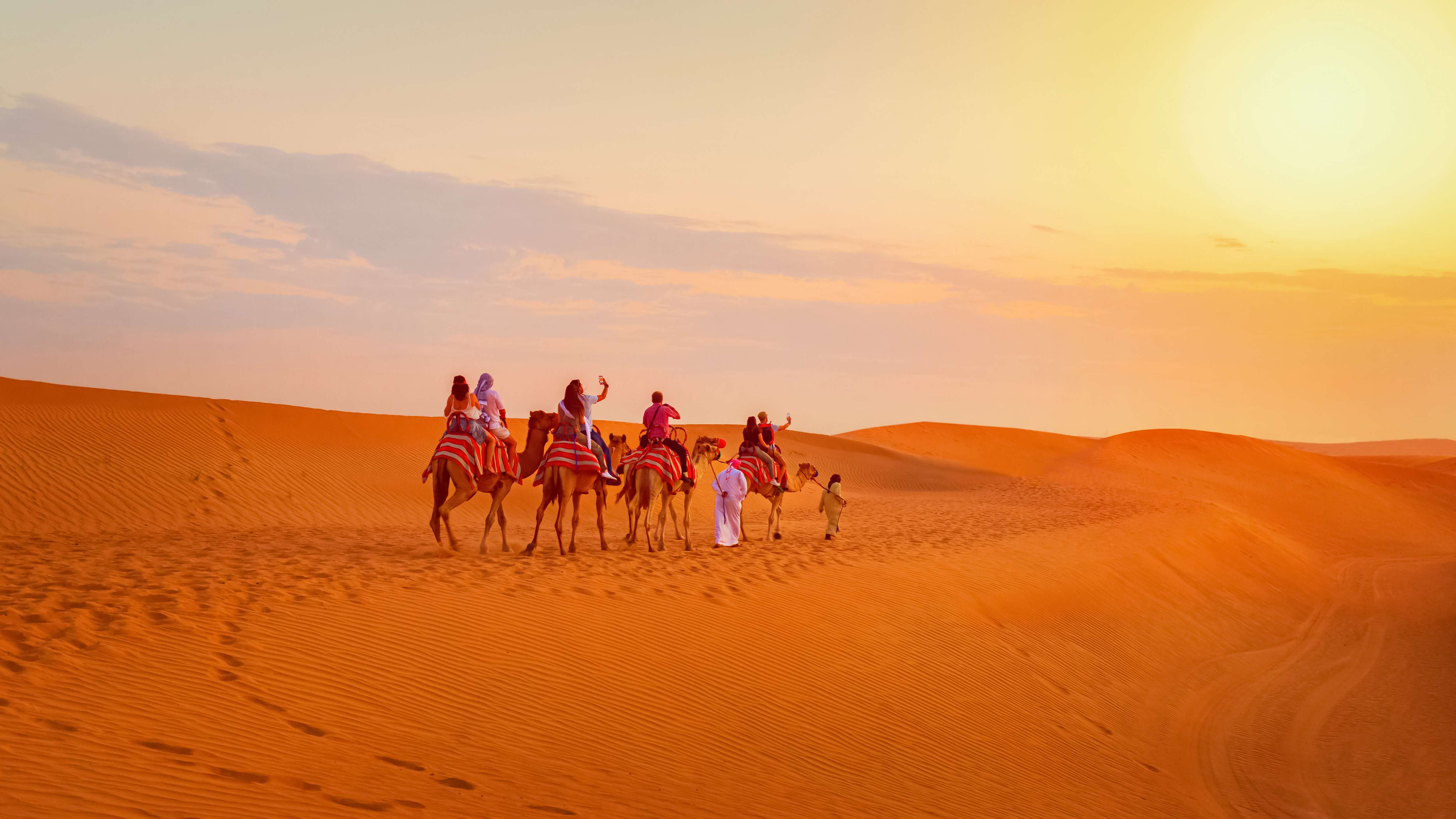 Panoramic view of Camel riding in Desert Safari, Dubai