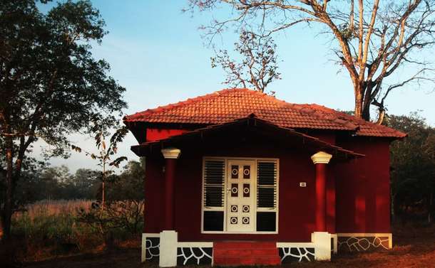 Y1g6gng60uhrs7sr4vpxb9oi37y1 6