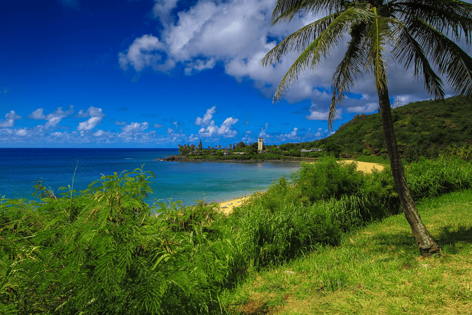 Waimea Bay