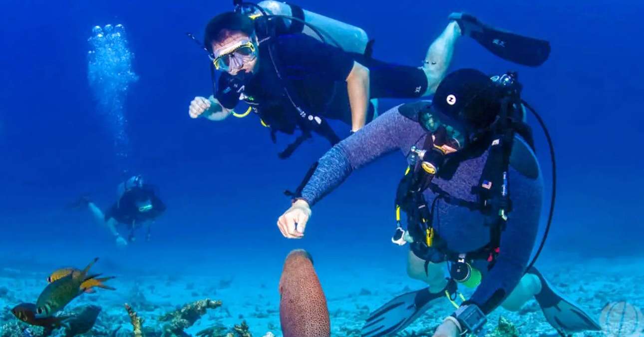 Racha Island Diving Image