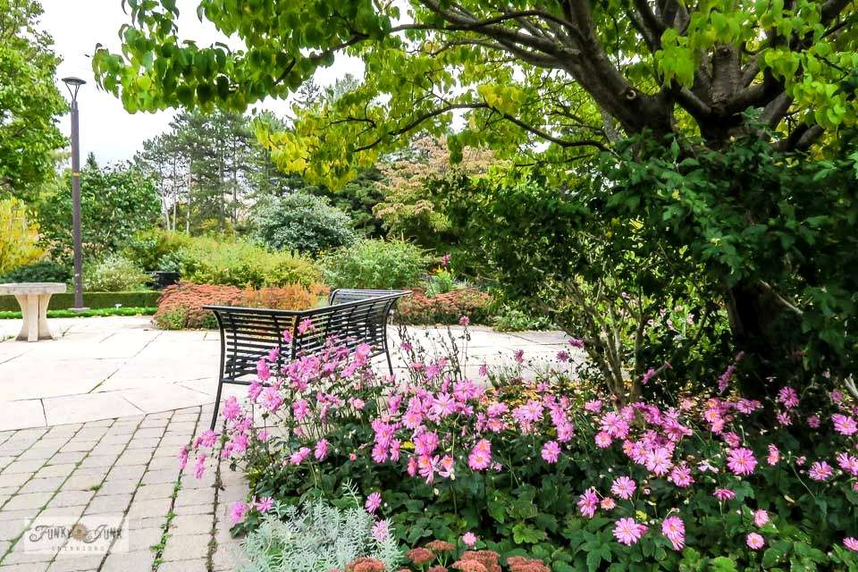 Niagara Falls Butterfly Conservatory Image
