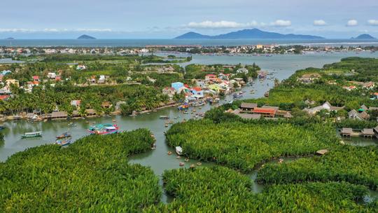 Half Day Cam Thanh Basket Boat Trip Image
