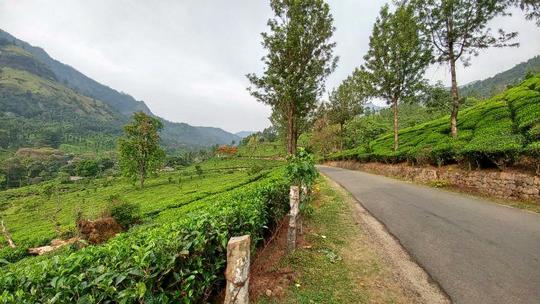 Munnar To Marayoor Sightseeing Tour Image