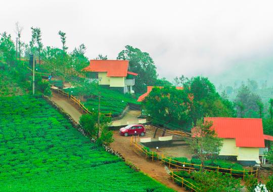 Voye Homes Novella Image