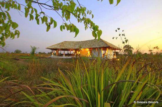 Y6aw97uccr5bfzj5874xkkqnhnl4 1589543075 svasara jungle lodge