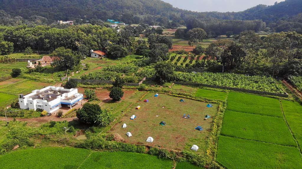 Outstanding views of lush greenery