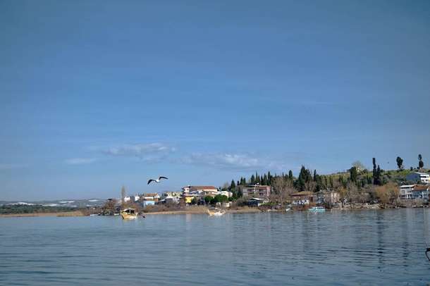 Y983mevbz16myl77kthh9y9assuw downpic.cc image401544005